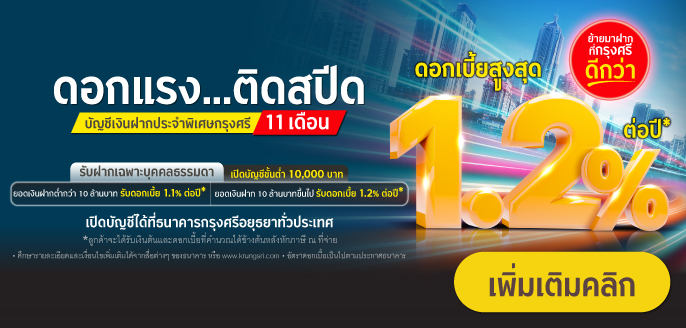 โปรโมชั่นเงินฝากประจำพิเศษ 11 เดือน
