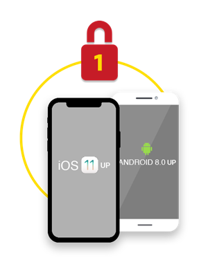 icon1